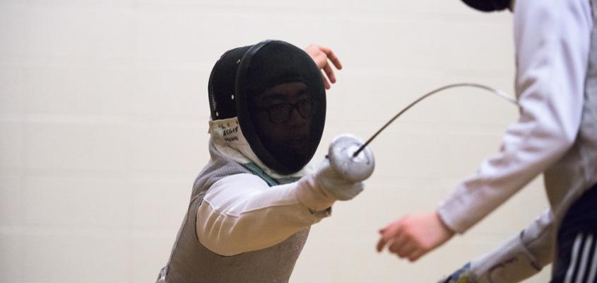 fencing