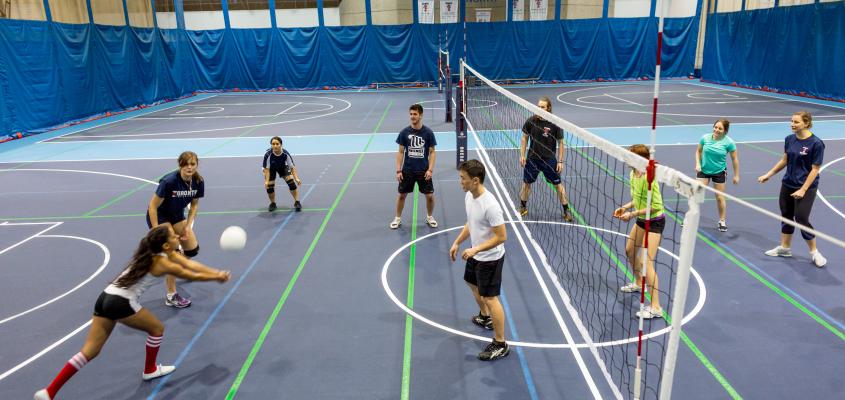 Men and women playing volleyball