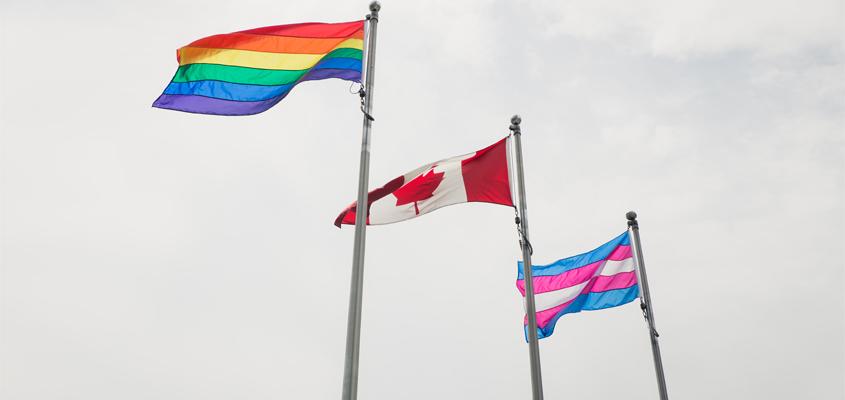 Pride & Trans Flag Raising Ceremony