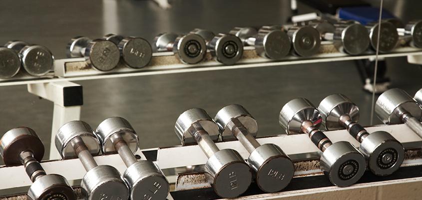 Several free weights on a rack